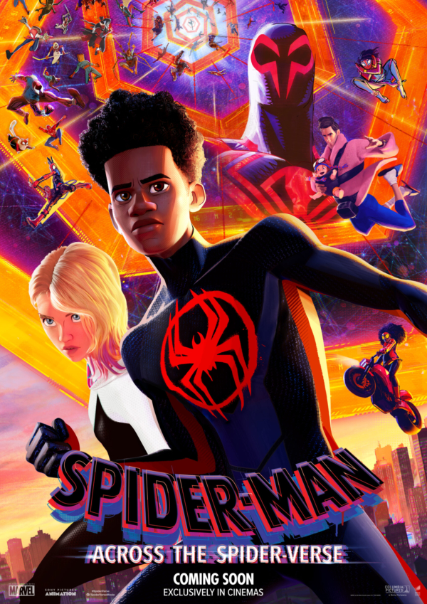 Spider-Man: Across the Spider-Verse poster image